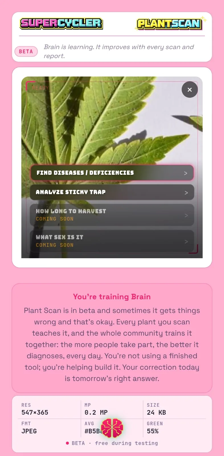 Plant Scan — hoja lista para escanear y opciones de análisis