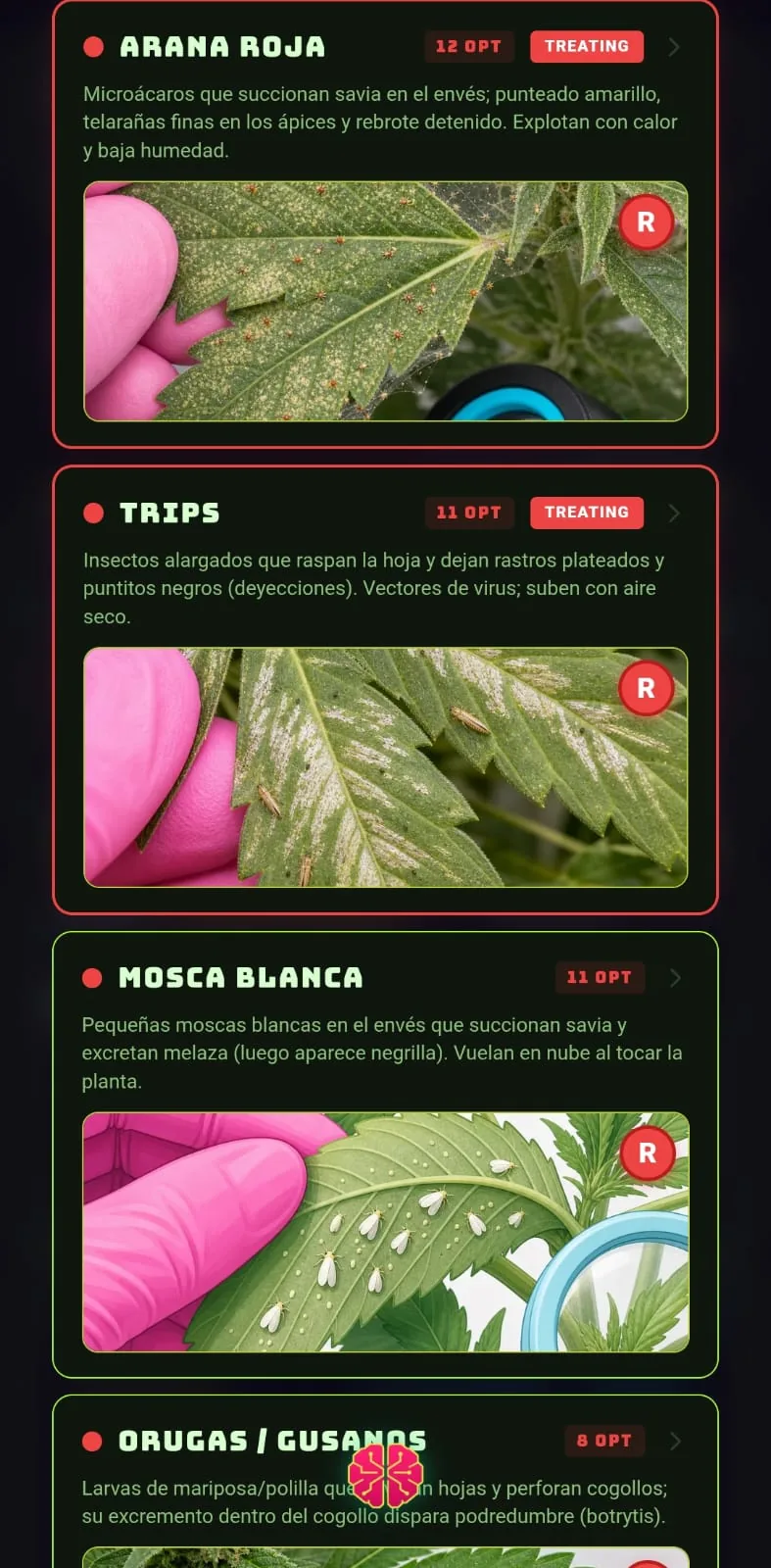 Plant Scan